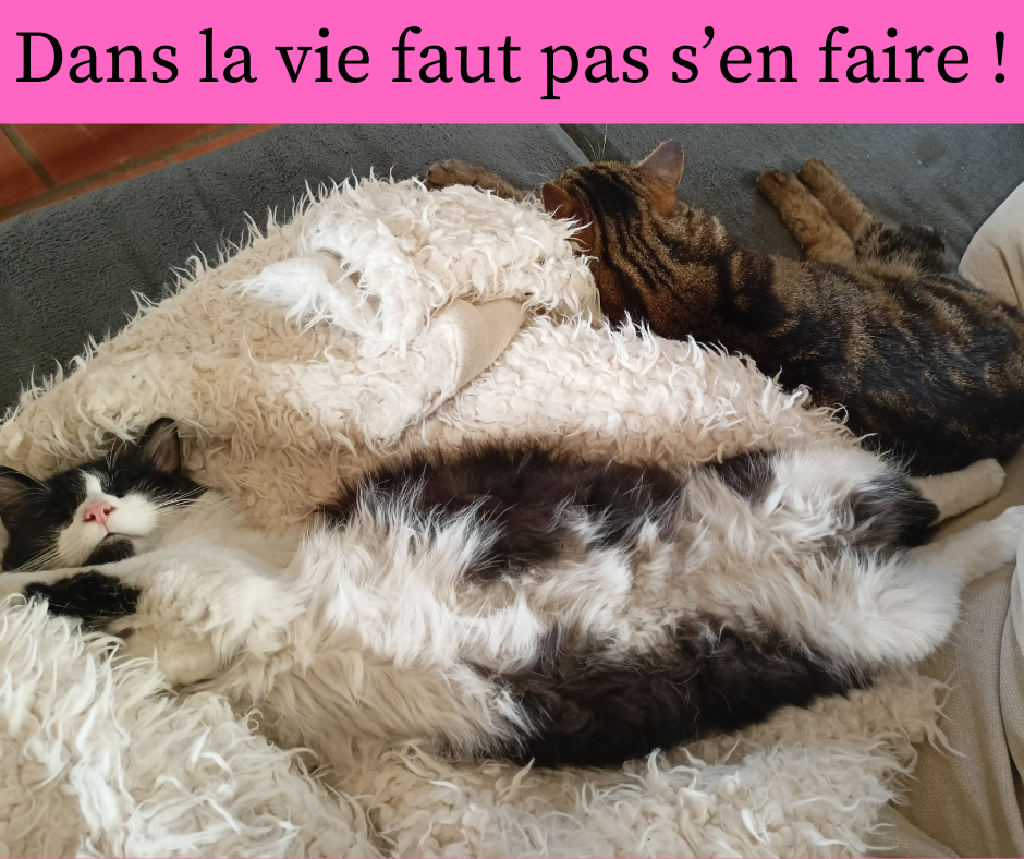 hypnose arreter de fumer